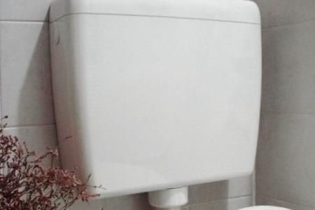 Cassetta wc esterna come sostituirla